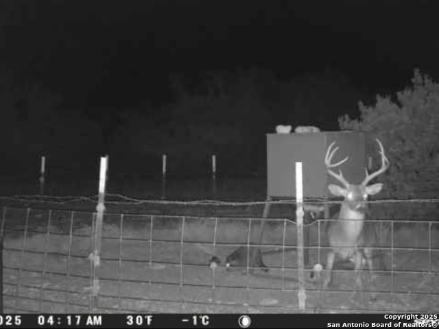 Listing photo id 38 for Address Not Provided