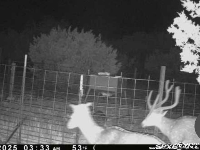 Listing photo id 39 for Address Not Provided