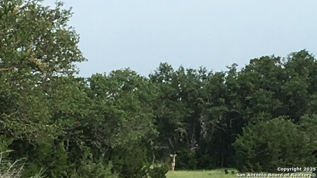 Listing photo id 41 for Address Not Provided