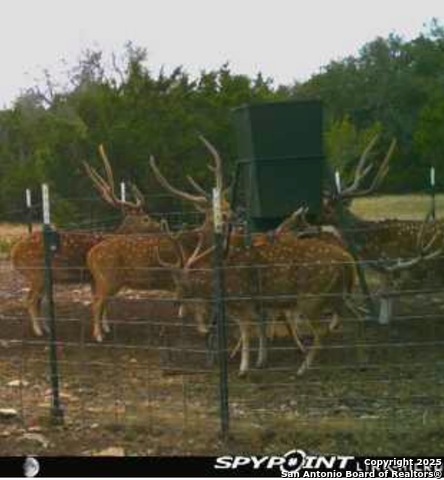 Listing photo id 42 for Address Not Provided