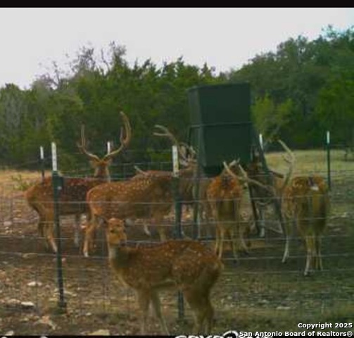 Listing photo id 43 for Address Not Provided