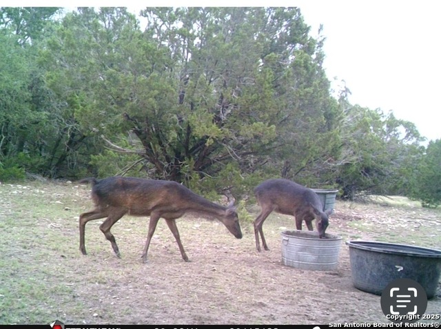 Listing photo id 44 for Address Not Provided