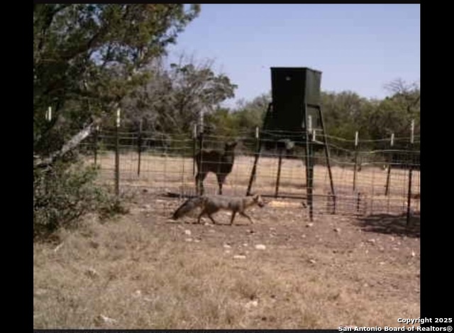 Listing photo id 45 for Address Not Provided