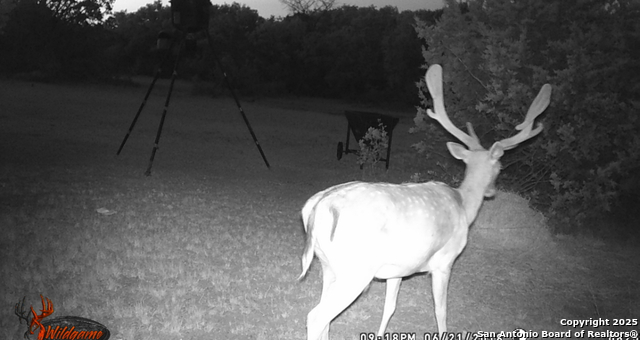 Listing photo id 46 for Address Not Provided