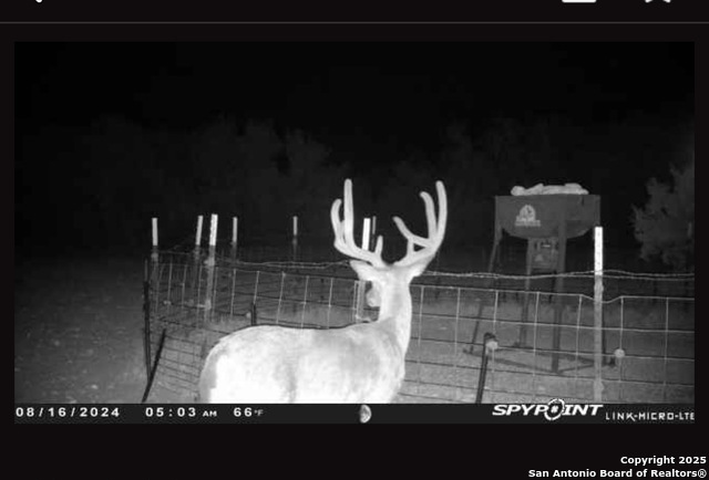 Listing photo id 47 for Address Not Provided