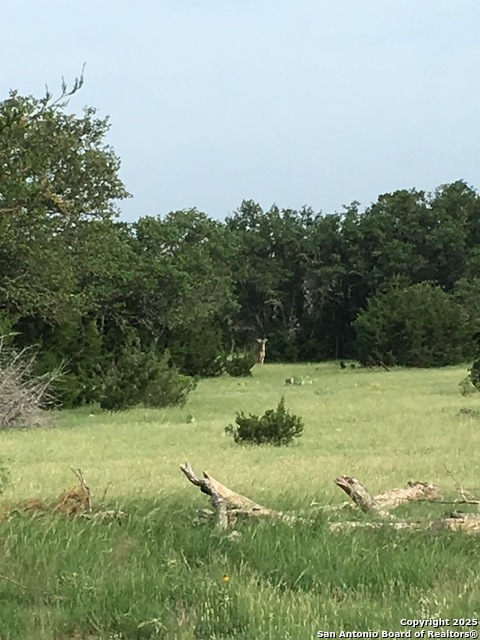 Listing photo id 3 for Address Not Provided