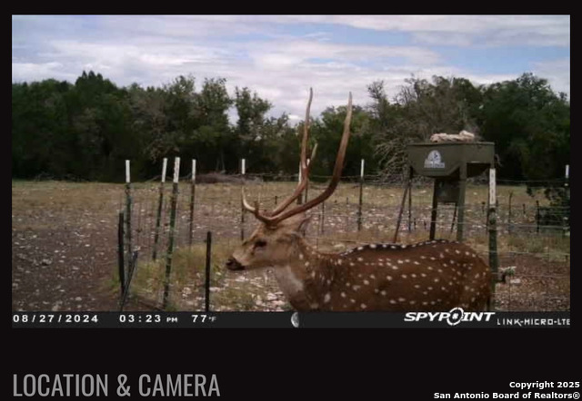 Listing photo id 48 for Address Not Provided