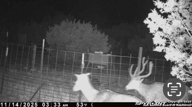 Listing photo id 49 for Address Not Provided