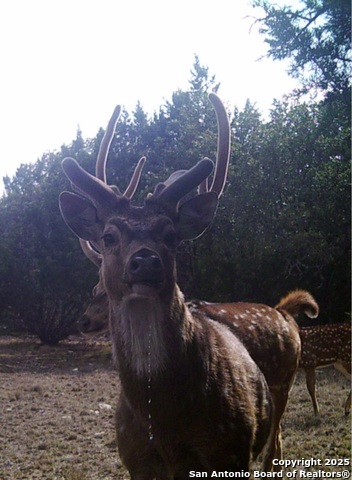 Listing photo id 50 for Address Not Provided