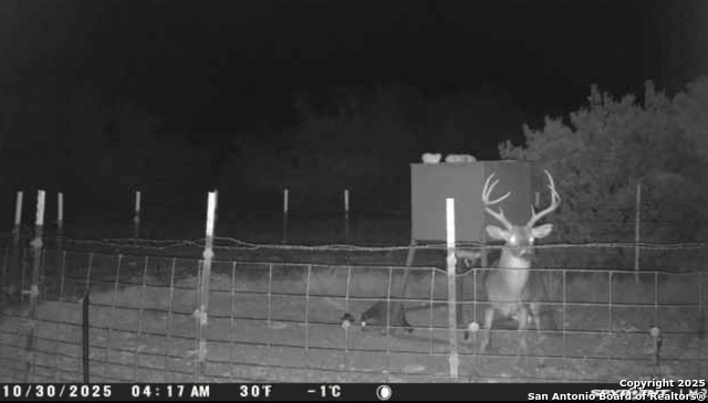 Listing photo id 51 for Address Not Provided