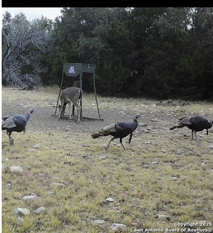 Listing photo id 52 for Address Not Provided