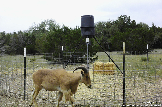 Listing photo id 53 for Address Not Provided