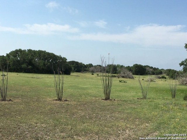 Listing photo id 4 for Address Not Provided