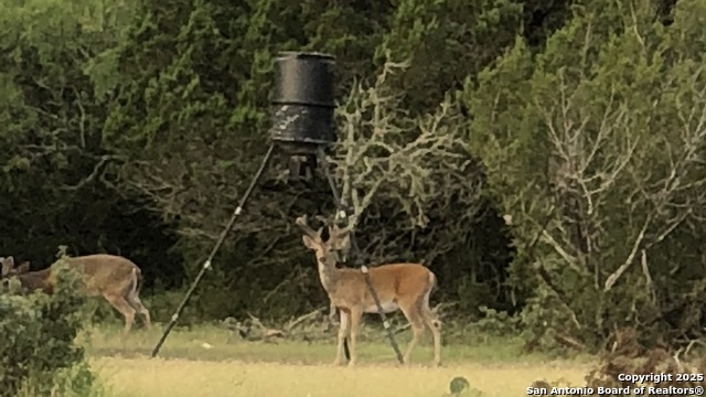 Listing photo id 5 for Address Not Provided