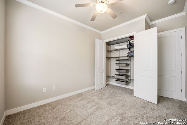 Image 29 of 47 For 7342 Oak Manor  #6202