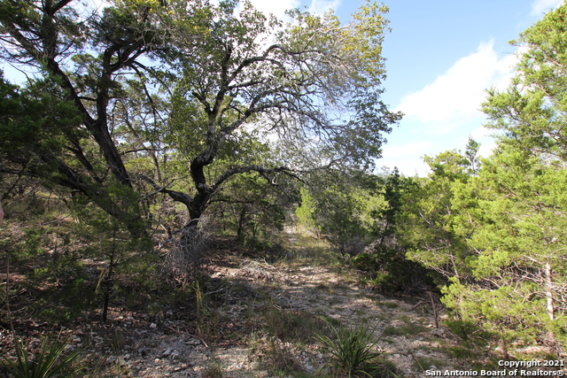 Image 8 of 12 For 29035 Verde Mountain Trail