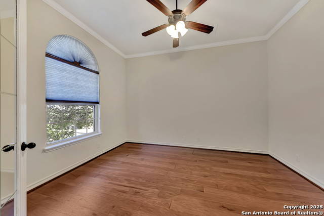 Image 25 of 42 For 26011 Red Heron