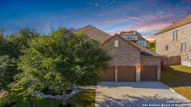 Image 3 of 42 For 26011 Red Heron