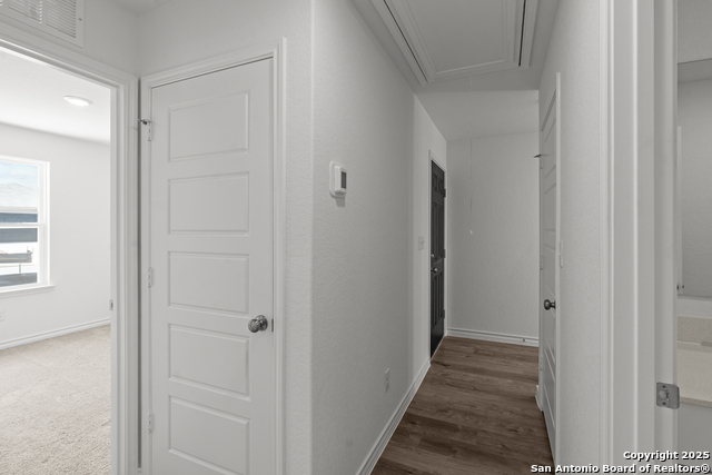 Listing photo id 26 for 1319 Vallarta Centro