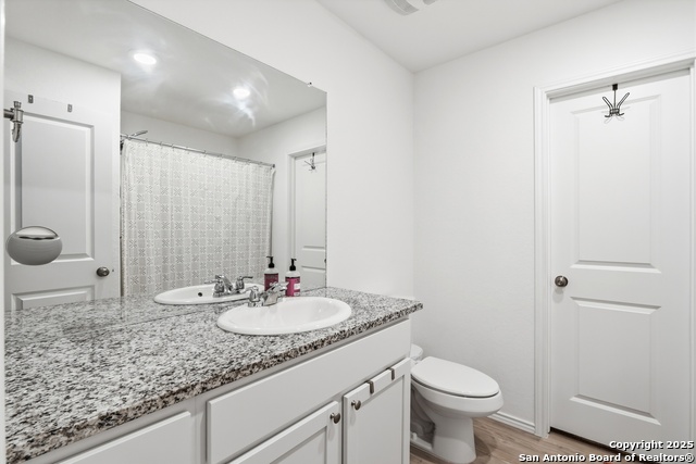 Image 12 of 23 For 13942 Bull  