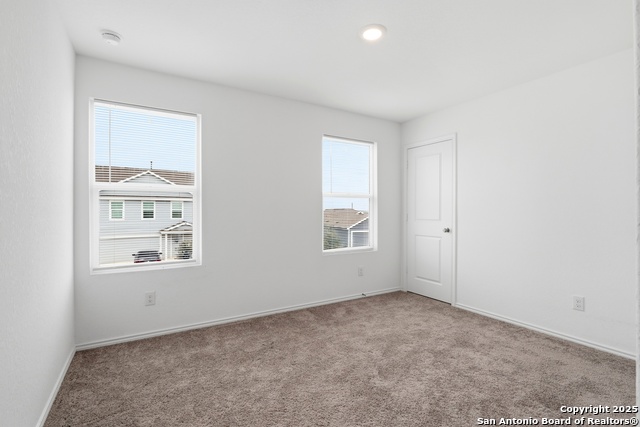 Image 15 of 23 For 13942 Bull  