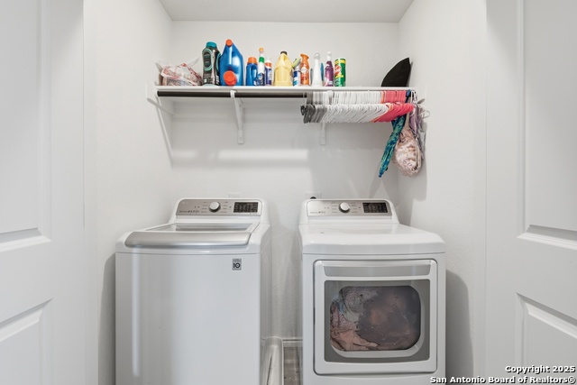 Image 17 of 23 For 13942 Bull  