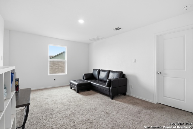 Image 18 of 23 For 13942 Bull  