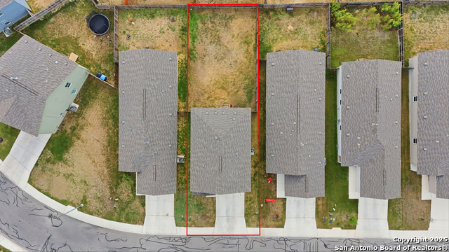 Image 23 of 23 For 13942 Bull  