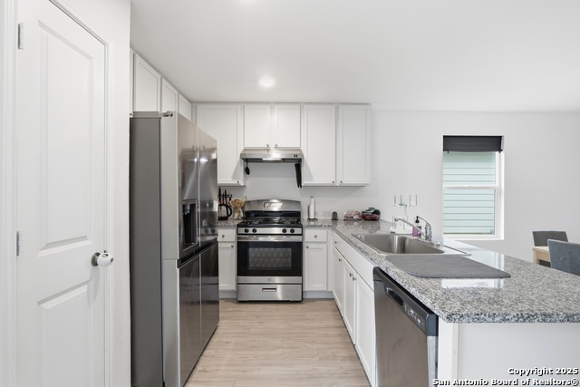 Image 8 of 23 For 13942 Bull  