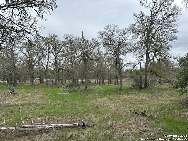 Details for 141 Eskew Lane N, Cedar Creek, TX 78612