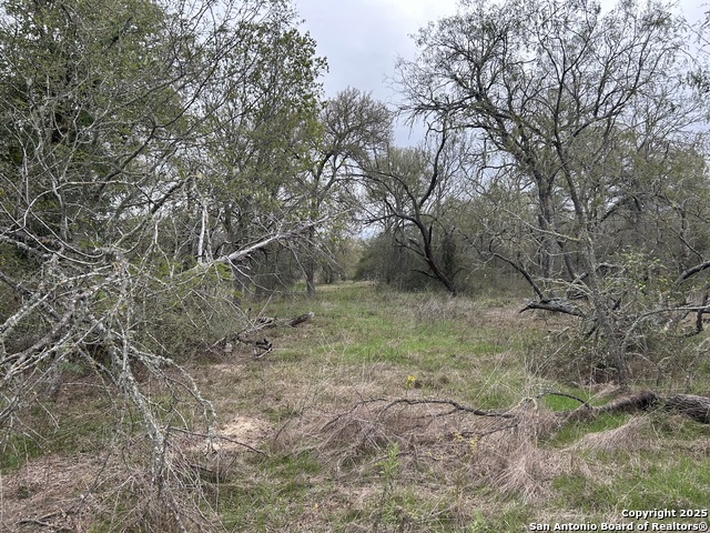 Image 2 of 9 For 141 Eskew Lane N