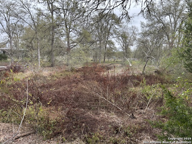 Image 3 of 9 For 141 Eskew Lane N