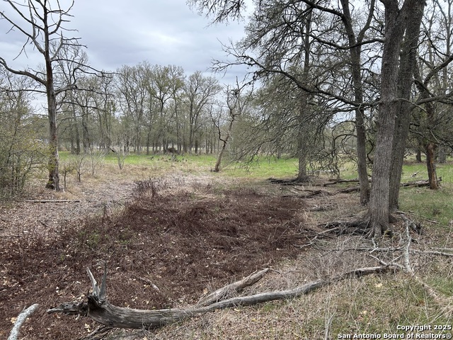 Image 4 of 9 For 141 Eskew Lane N