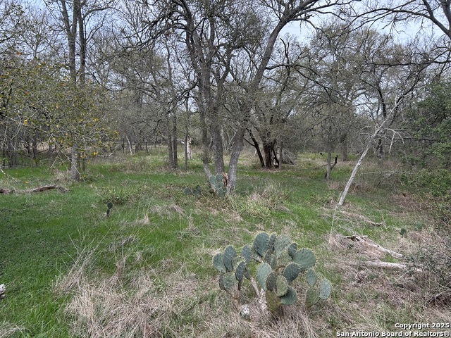 Image 5 of 9 For 141 Eskew Lane N