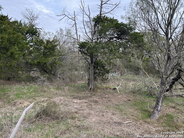 Image 6 of 9 For 141 Eskew Lane N