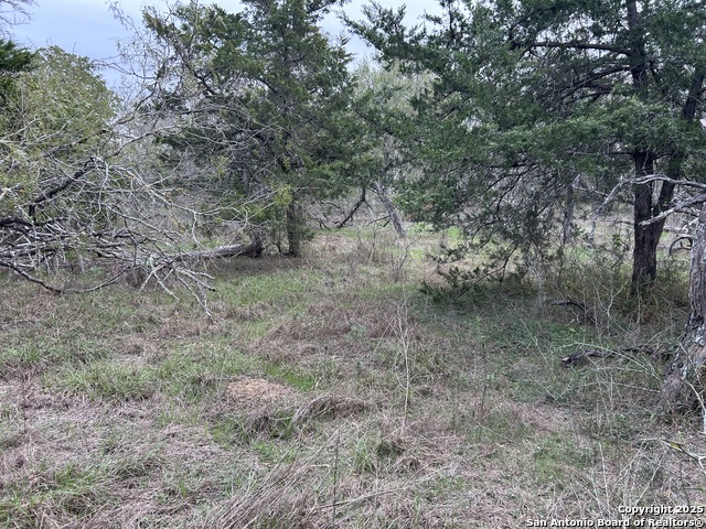 Image 7 of 9 For 141 Eskew Lane N