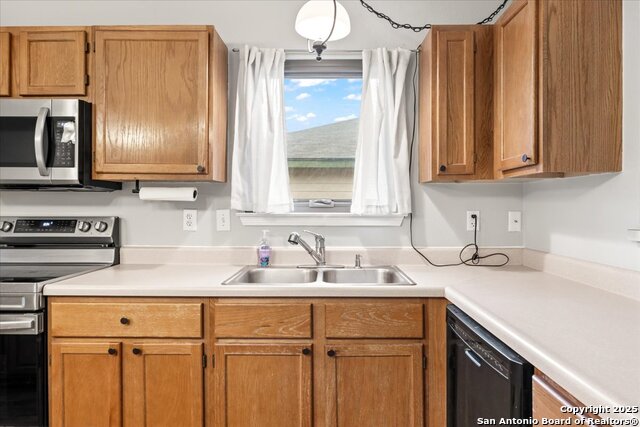 Image 15 of 35 For 8454 Shooting Quail