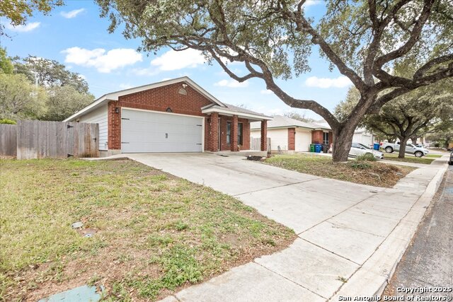 Image 2 of 35 For 8454 Shooting Quail
