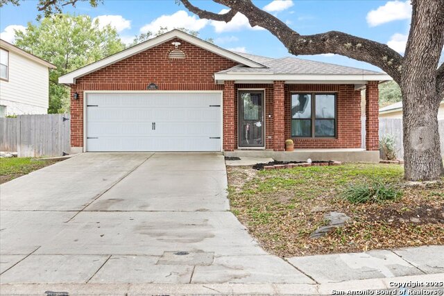 Image 4 of 35 For 8454 Shooting Quail