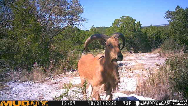 Listing photo id 10 for Tbd Cr 635  