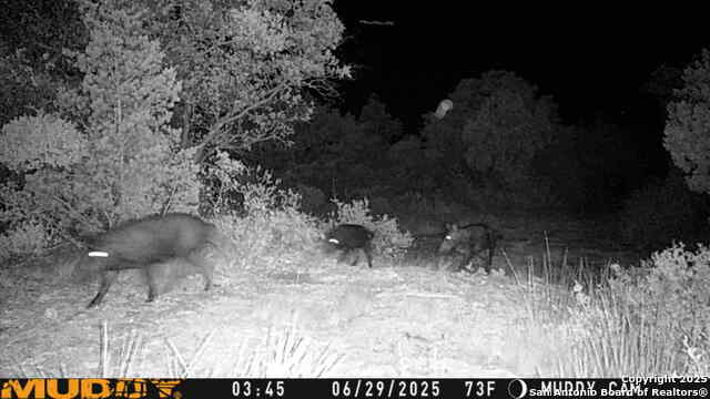 Listing photo id 11 for Tbd Cr 635  