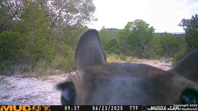 Listing photo id 12 for Tbd Cr 635  