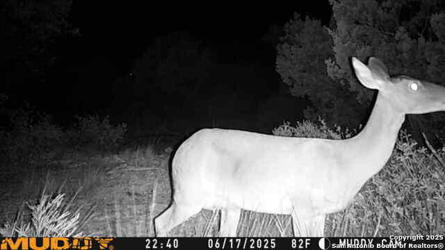 Listing photo id 13 for Tbd Cr 635  