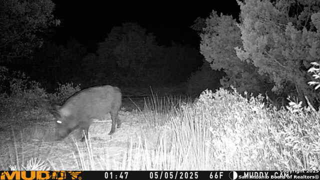 Listing photo id 15 for Tbd Cr 635  