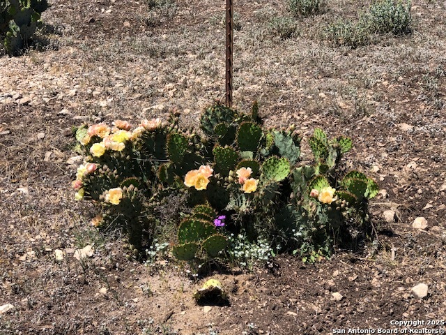 Listing photo id 5 for Tbd Cr 635  