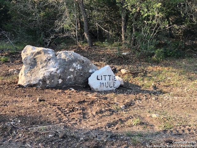 Listing photo id 6 for Tbd Cr 635  