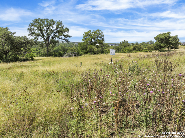 Image 20 of 57 For Lot 69 Sabinas Springs Rd