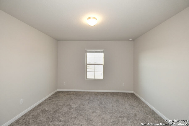 Image 9 of 15 For 9321 Bronze Cyn