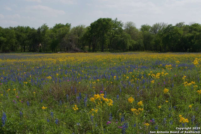 Details for 1527 County Road 412, Stockdale, TX 78160