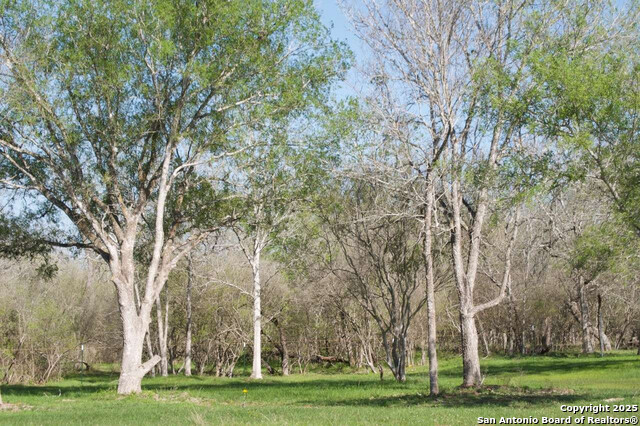 Image 4 of 6 For 1527 County Road 412